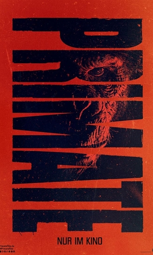 Primate