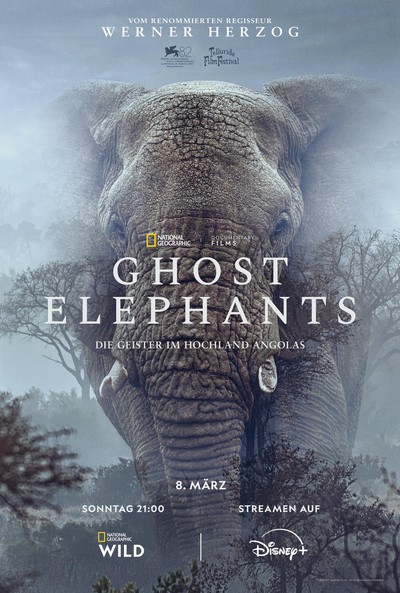 Ghost Elephants – Die Geister im Hochland Angolas