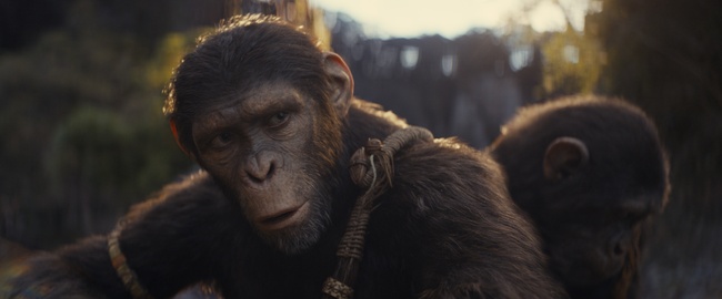 Einspielergebnisse und Besucherzahlen der „Planet der Affen“-Filme im Kino