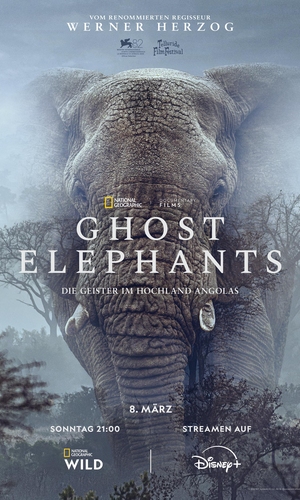 Ghost Elephants – Die Geister im Hochland Angolas