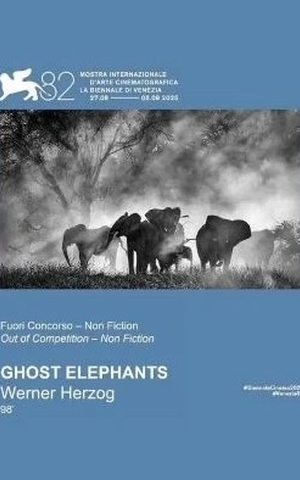 Ghost Elephants