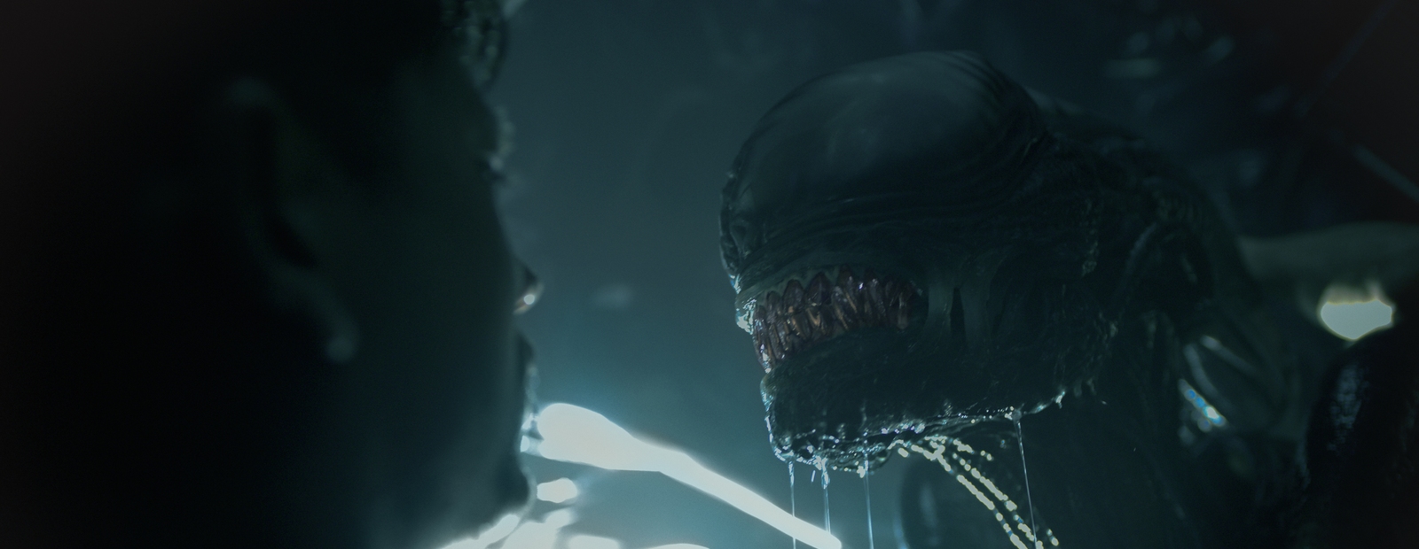 Cailee Spaeny in „Alien: Romulus“ (© Walt Disney)