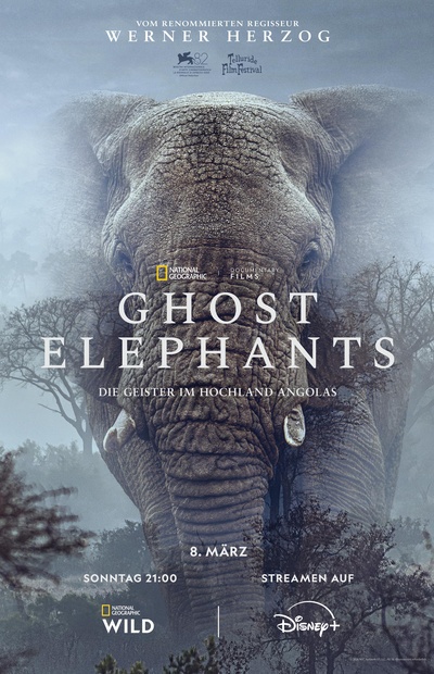 Ghost Elephants – Die Geister im Hochland Angolas
