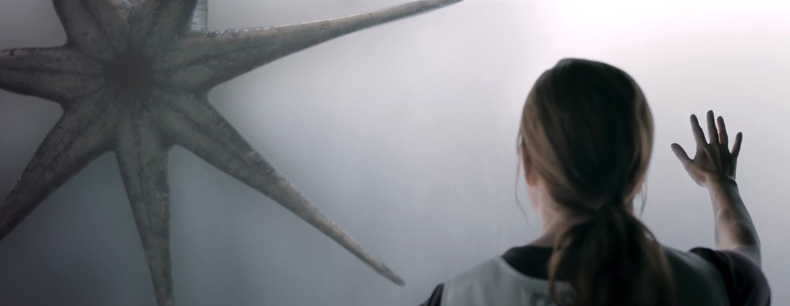 Amy Adams in „Arrival“ (© Columbia Pictures)