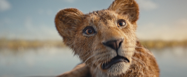„Mufasa: Der König der Löwen“ regiert weiter die deutsche Kinocharts, „We Live In Time“ bester Neustart