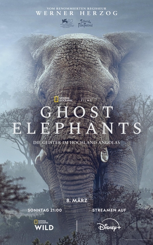 Ghost Elephants – Die Geister im Hochland Angolas