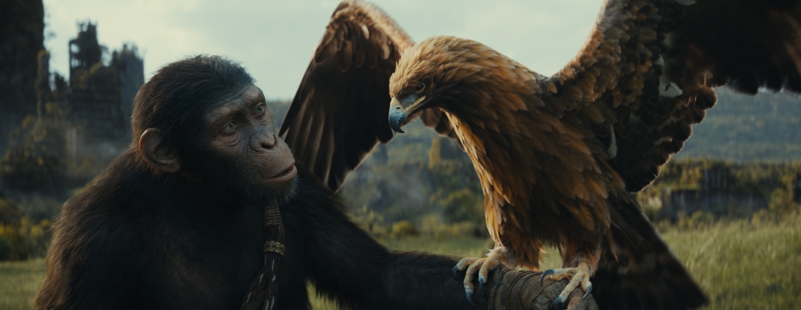 „Planet der Affen: New Kingdom“ (© Walt Disney)